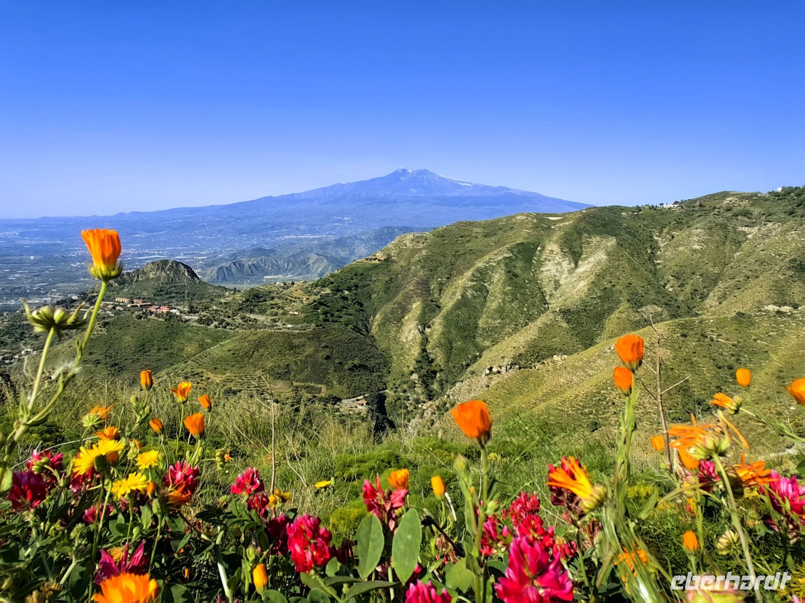 Im Frühling blüht und grünt es auf Sizilien