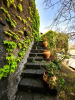 Hier probieren wir die schmackhaften Ätna-Weine