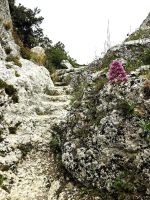 Und steil geht es wieder bergauf