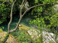 Der Anapofluß fließt glasklar in der Schlucht entlang und wir können große Fische beobachten