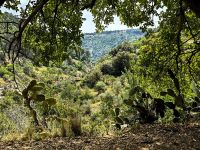 Blick auf die Pantalica Hochebene