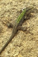 Wir werden beobachtet