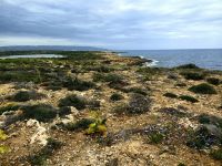 Wir schlängeln uns an der Küste entlang