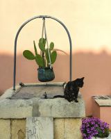 Unser  wildromantisches Hotel Villa Giulia bei Noto