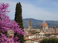 Florenz: unterwegs in den Gärten
