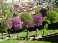 Florenz: unterwegs in den Gärten