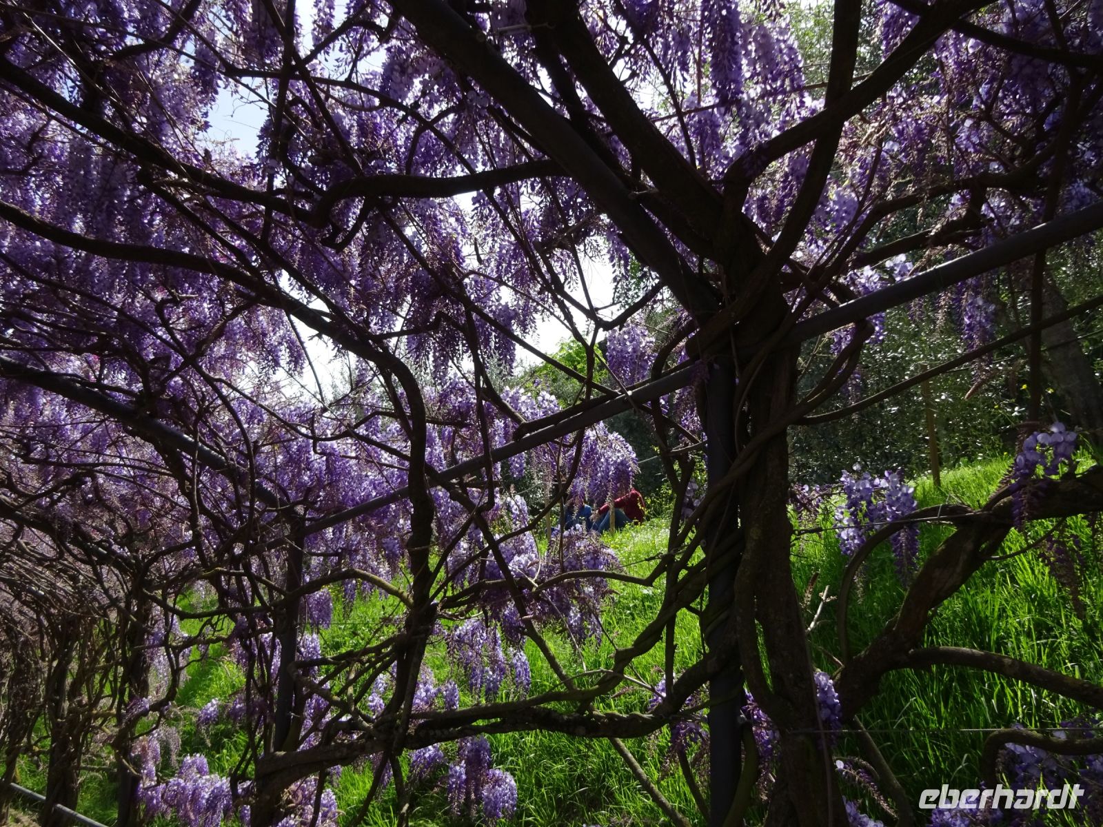 Florenz: unterwegs in den Gärten