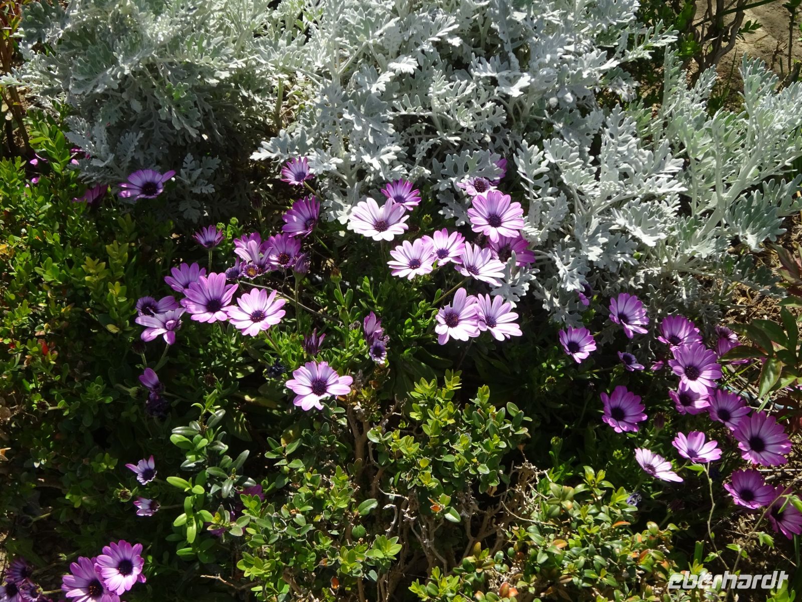 Florenz: unterwegs in den Gärten
