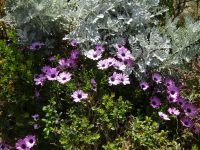 Florenz: unterwegs in den Gärten