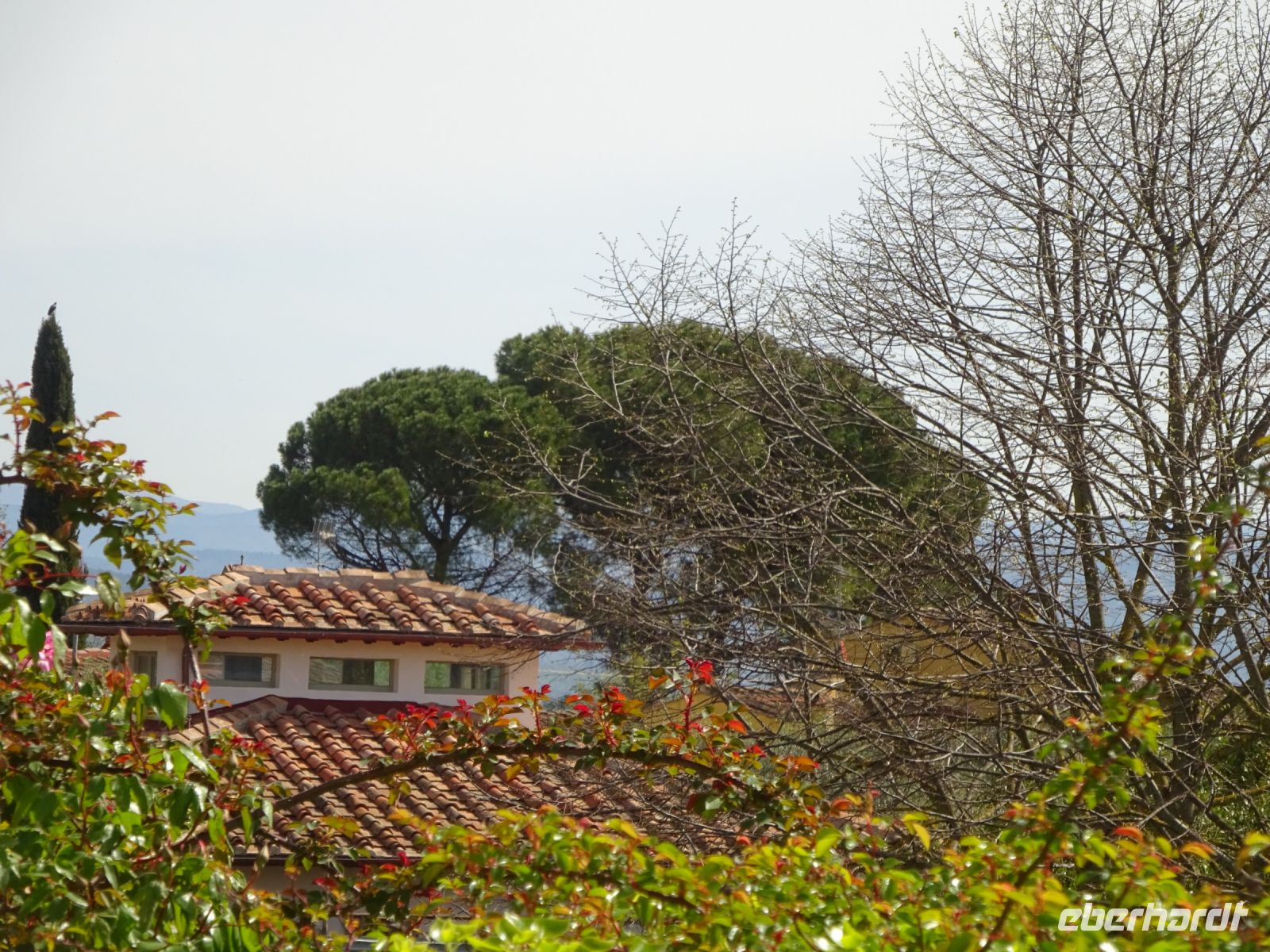 Florenz: unterwegs in den Gärten
