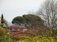 Florenz: unterwegs in den Gärten