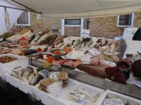 Venedig: Fischverkauf