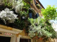 Venedig: Rundgang mit Cristina