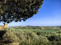 Blick über die Landschaft um Agrigent