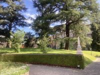 In den Vatikanischen Gärten 