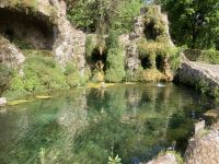 in den Vatikanischen Gärten 