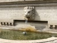 in den Vatikanischen Gärten