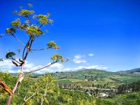 Traumwetter und Traumlandschaft bei Segesta