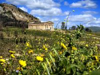 Griechischer Tempel in Segesta
