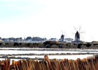 An den Salinen von Marsala