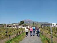 Cantina del Vesuvio