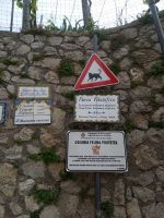 Verkehrschilder für Katzen :-)