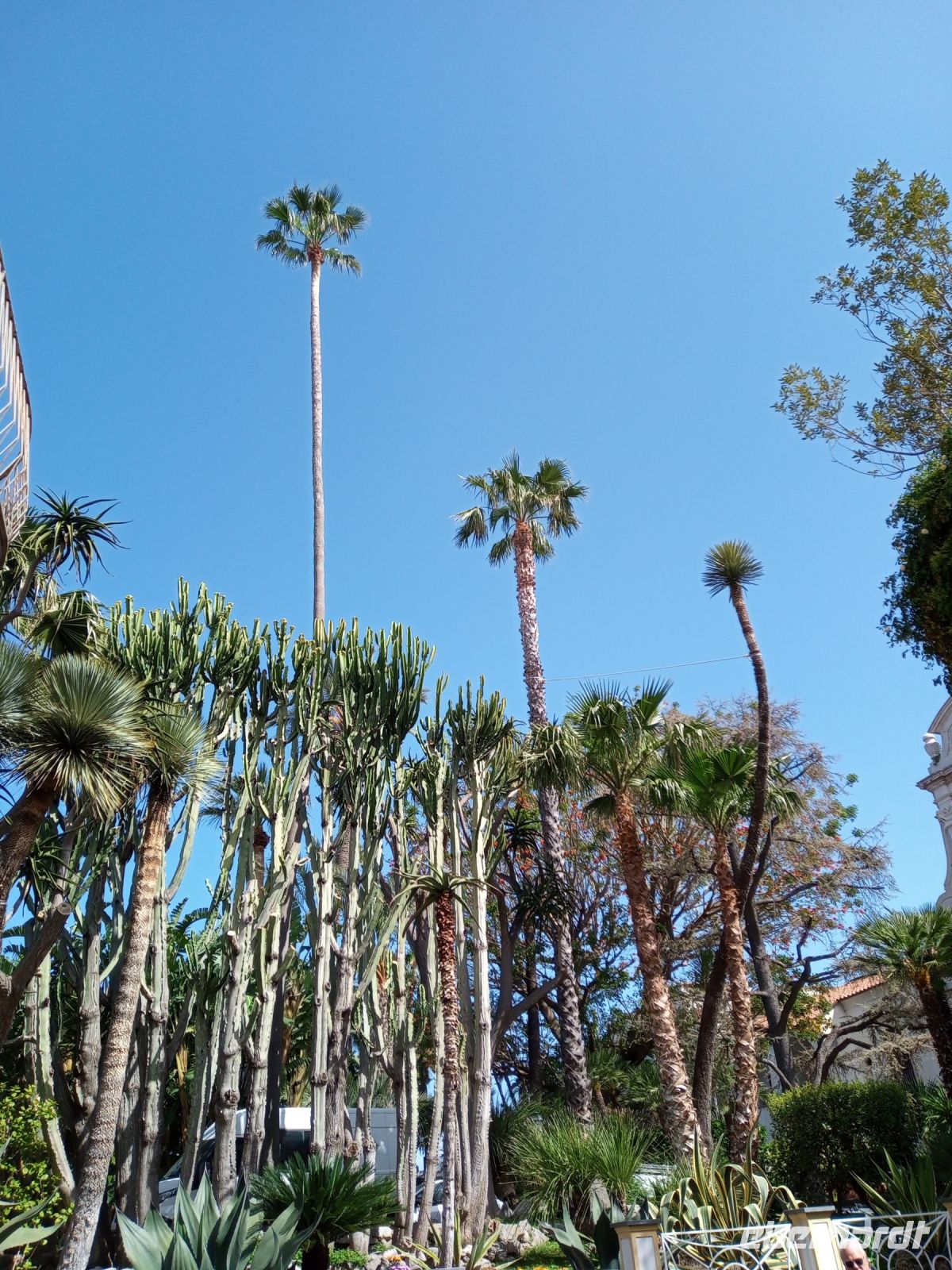 Parco Villa Communale 