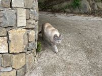 ...farblich gut angepasst.