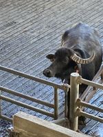 Mit Neugierde werden wir betrachtet.