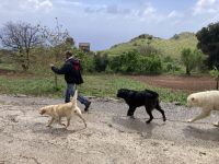 ...und der Hirte mit Unterstützung