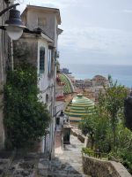 Blick vom ZItronenweg auf die Kuppel der Kirche von Maiori/Amalfiküste/Italien