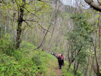 Wanderung über den Ameisenweg nach Tramonti/Amalfiküste/Italien