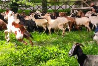 Reisegruppe in Aufruhr