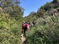 ...auf dem Götterweg