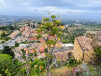Gerace. Panorama mit Fenchel