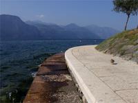 Am Gardasee in Brenzone