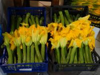 MarkthIm Mai ist die Zeit der Zucchiniblüten, die frittiert oder gefüllt wunderbar schmecken.