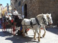 In der Kutsche lässt sich die schöne Stadt noch einmal anders in Augenschein nehmen.