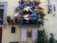 Doch, die Blumen sind echt und duften. Ein wunderbarer Auftakt zur heutigen Gartenbesichtigung.