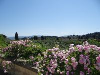 Boboli-Garten, von hier aus schweift der Blick über die toskanische Landschaft mit Zypressen und Pinien. 