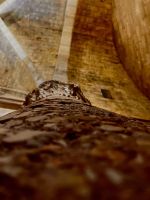 Castel del Monte, Adria, Italy