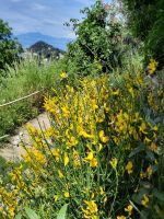 Wanderung zum Punta Manara