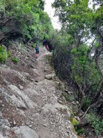 Weg nach Monterosso