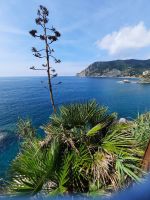 Weg nach Vernazza