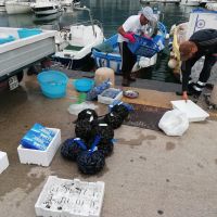 Der Fang wird sofort verkauft