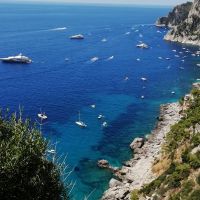 Tummelplatz von Booten und Yachten