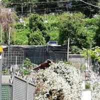 Mit einem Sessellift auf Solara