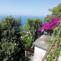 Blütenpracht an der Amalfiküste