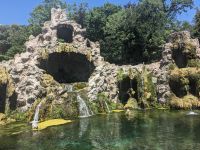 78. Vatikanische Gärten