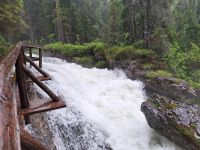 ganz schön rutschig hier